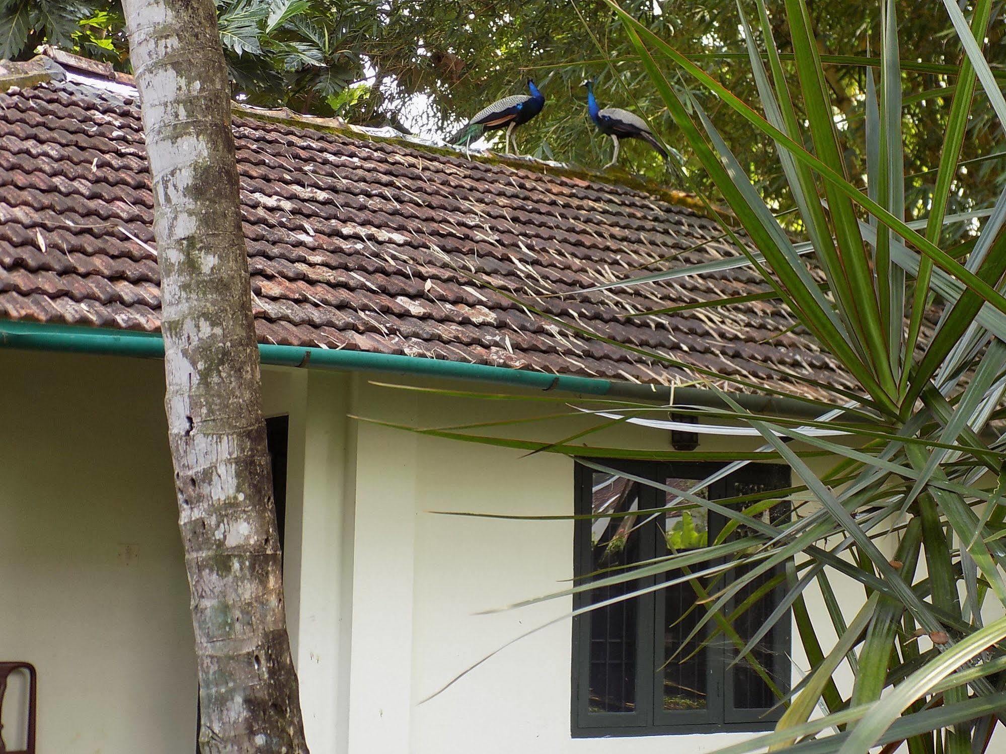 Elphinstone Residency Panzió Kochi Kültér fotó